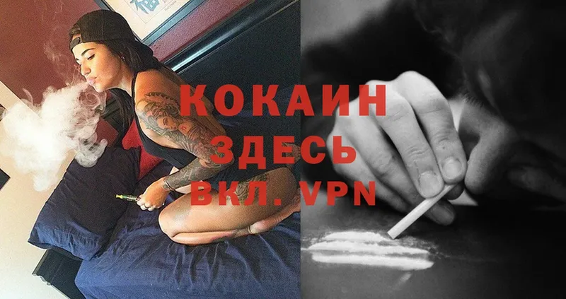 ссылка на мегу вход  Бахчисарай  Cocaine 98% 